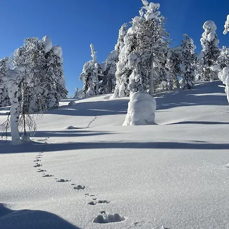 Milis 木屋 Ylläsjärvi