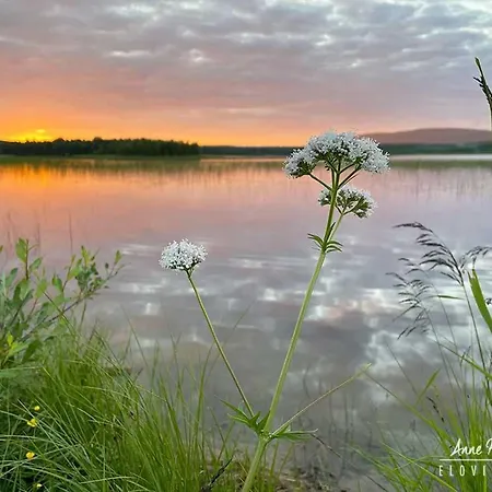 Milis * Ylläsjärvi